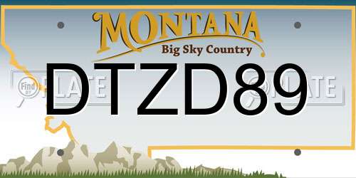 DTZD89 Montana License Plate