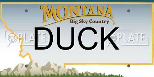 DUCK Montana License Plate