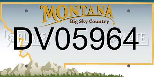 DV05964 Montana License Plate