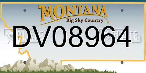 DV08964 Montana License Plate