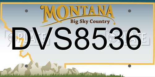 DVS8536 Montana License Plate