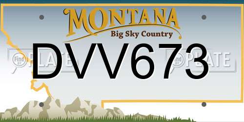 DVV673 Montana License Plate