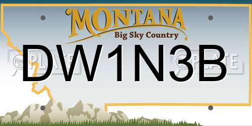DW1N3B Montana License Plate