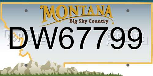 DW67799 Montana License Plate
