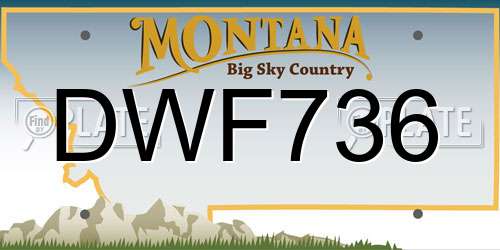 DWF736 Montana License Plate