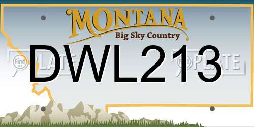 DWL213 Montana License Plate