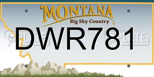 DWR781 Montana License Plate