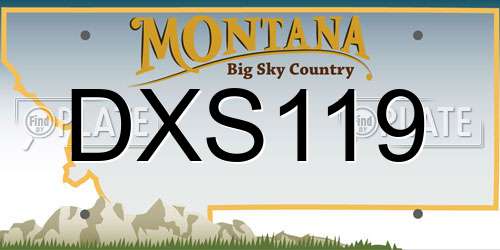 DXS119 Montana License Plate