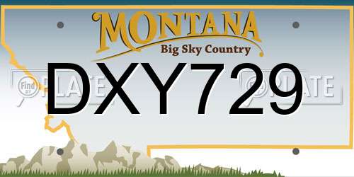 DXY729 Montana License Plate