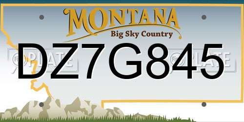 DZ7G845 Montana License Plate