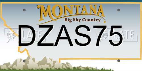 DZAS75 Montana License Plate