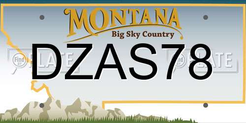 DZAS78 Montana License Plate