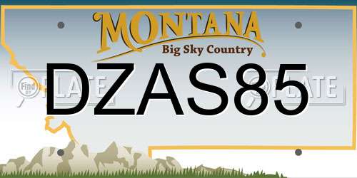 DZAS85 Montana License Plate