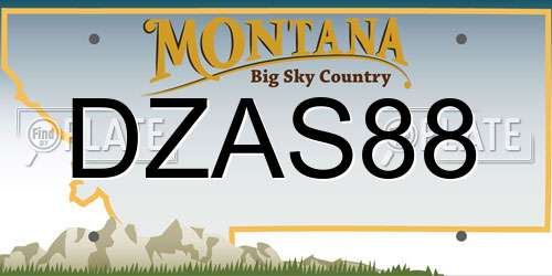 DZAS88 Montana License Plate