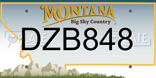 DZB848 Montana License Plate