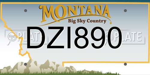 DZI890 Montana License Plate