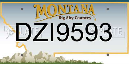 DZI9593 Montana License Plate
