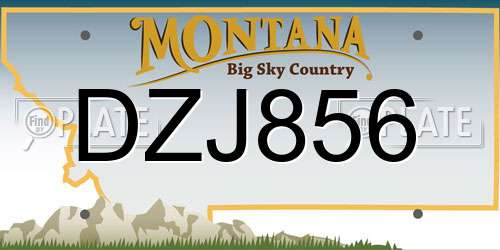 DZJ856 Montana License Plate
