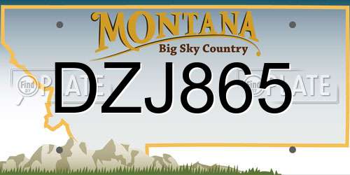 DZJ865 Montana License Plate