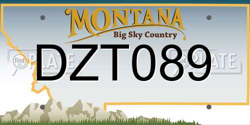 DZT089 Montana License Plate