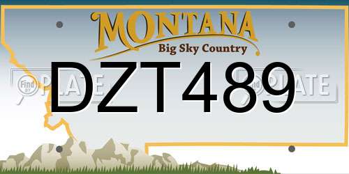 DZT489 Montana License Plate