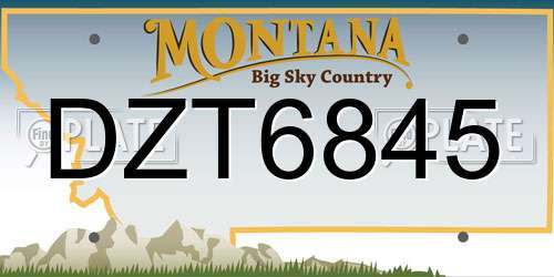 DZT6845 Montana License Plate