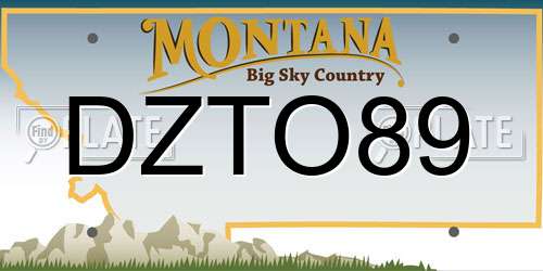 DZTO89 Montana License Plate
