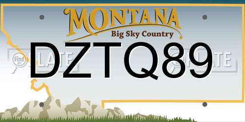 DZTQ89 Montana License Plate