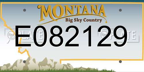 E082129 Montana License Plate