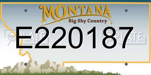 E220187 Montana License Plate