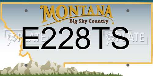 E228TS Montana License Plate