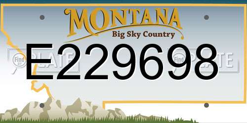 E229698 Montana License Plate