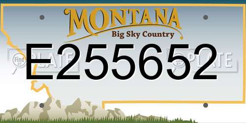 E255652 Montana License Plate