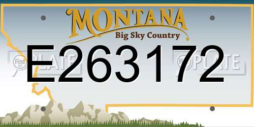 E263172 Montana License Plate