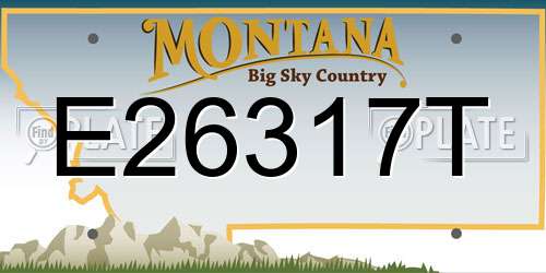 E26317T Montana License Plate