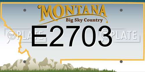 E2703 Montana License Plate