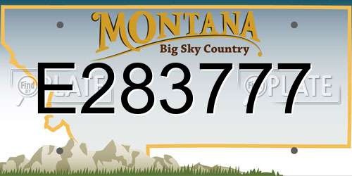 E283777 Montana License Plate