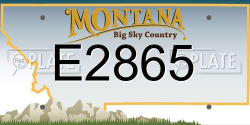 E2865 Montana License Plate