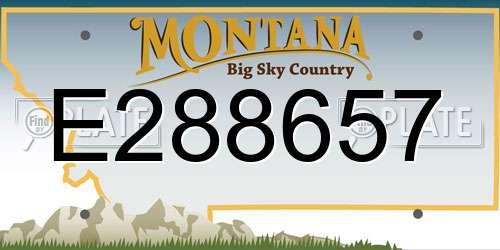 E288657 Montana License Plate