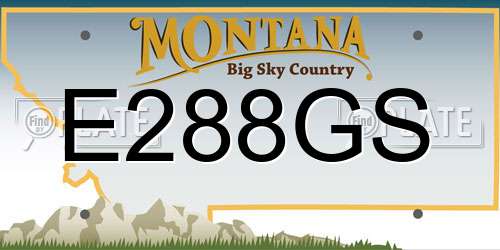 E288GS Montana License Plate