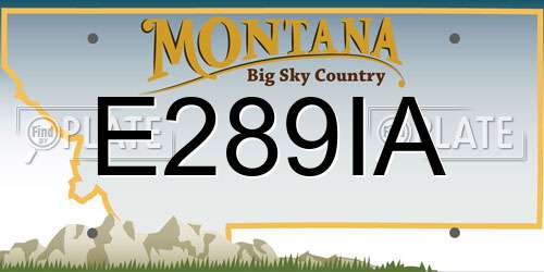 E289IA Montana License Plate