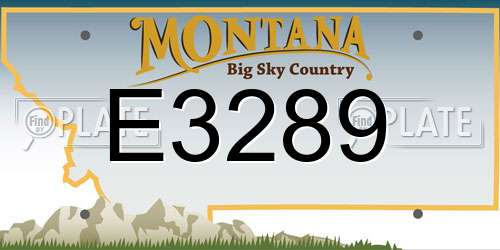 E3289 Montana License Plate
