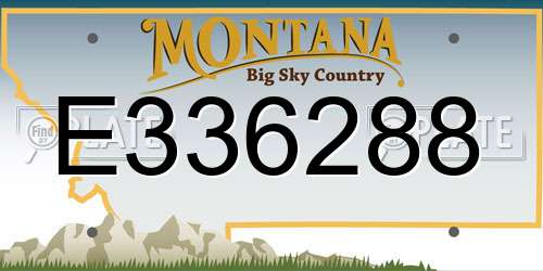 E336288 Montana License Plate