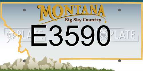 E3590 Montana License Plate