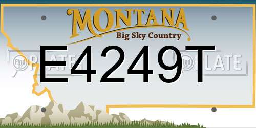 E4249T Montana License Plate