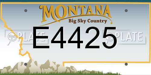 E4425 Montana License Plate