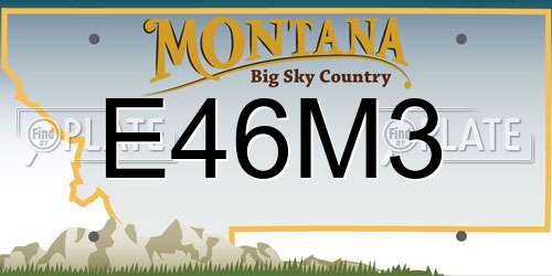 E46M3 Montana License Plate