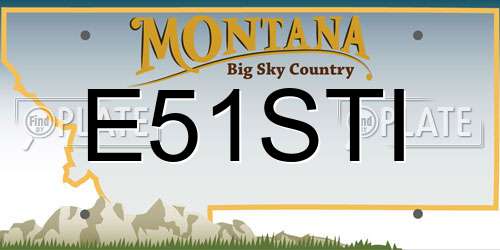 E51STI Montana License Plate