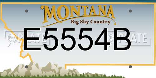 E5554B Montana License Plate