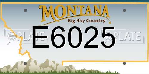 E6025 Montana License Plate